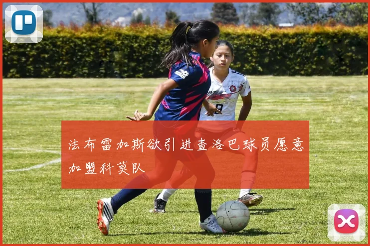 法布雷加斯欲引进查洛巴球员愿意加盟科莫队