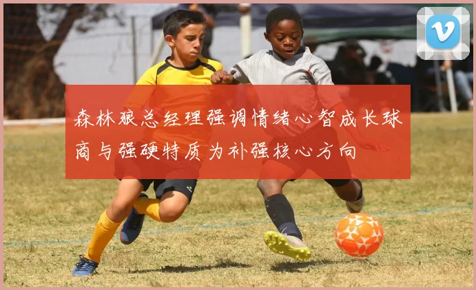 森林狼总经理强调情绪心智成长球商与强硬特质为补强核心方向